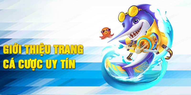 Sản phẩm casino hấp dẫn